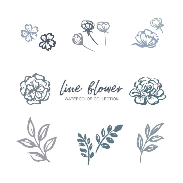 Lijn bloem aquarel bloem, gebladerte met bloemen plant, illustratie op wit.