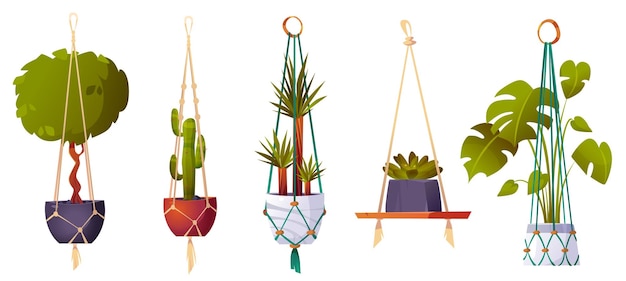 Gratis vector macramé hangers met groene kamerplanten