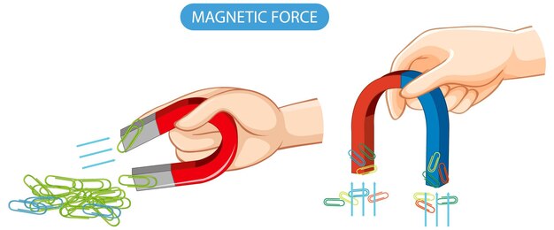 Magnetische kracht met magneet en clips