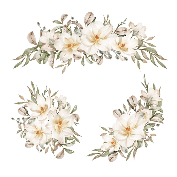 Gratis Vector magnolia witte aquarel bloemstuk collectie