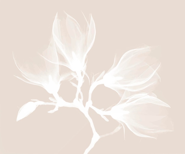 Magnolia x-ray ontwerp vector, remix van originele kunstwerken