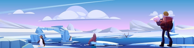 Man wandelaar in noord cartoon vector achtergrond toerist met grote rugzak staat op sneeuw en bevroren ijs bedekt landschap naast pinguïns en zeeleeuw wildlife onderzoeker ontmoet noordelijke dieren