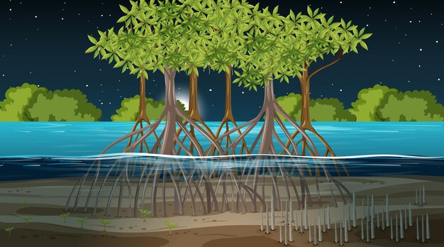 Gratis vector mangroveboslandschapsscène bij nacht