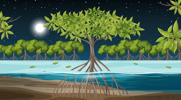 Gratis vector mangroveboslandschapsscène bij nacht