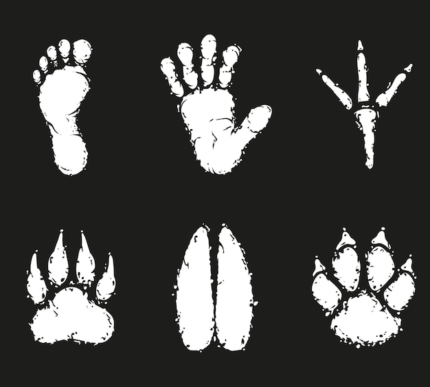 Menselijke voetafdruk en dierlijke voetafdruk