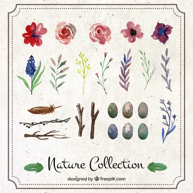 Met de hand geschilderd nature collection