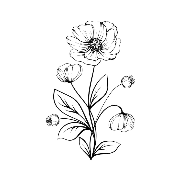 Gratis Vector met de hand getekend vlak ontwerp eenvoudige bloemencontour