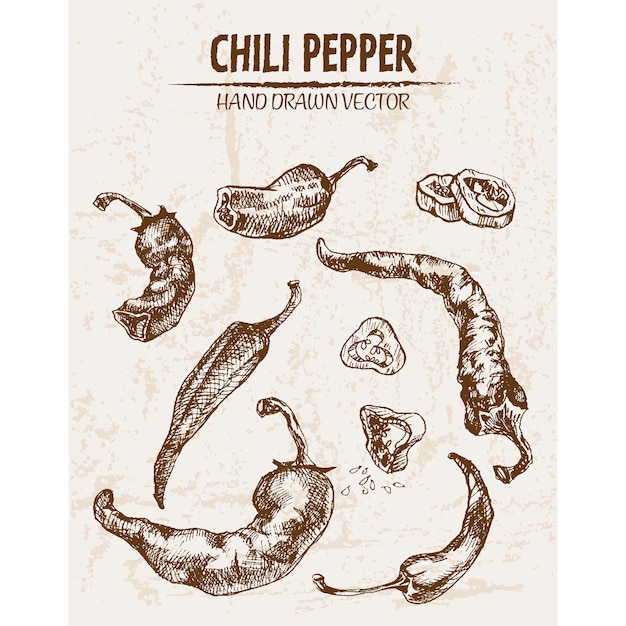 Met de hand getekende chili peper collectie