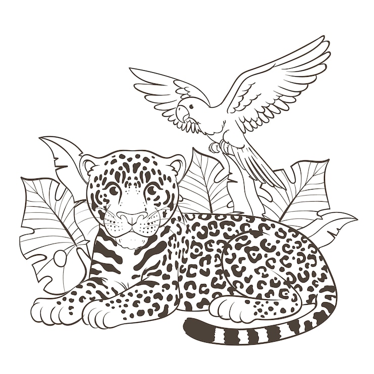 Gratis Vector met de hand getekende dieren in de dierentuin te kleur pagina illustratie.