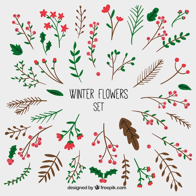 Gratis vector met de hand getekende set van de winter bloemen