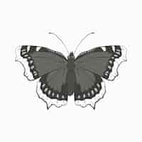 Gratis vector met de hand getekende vlinderillustratie