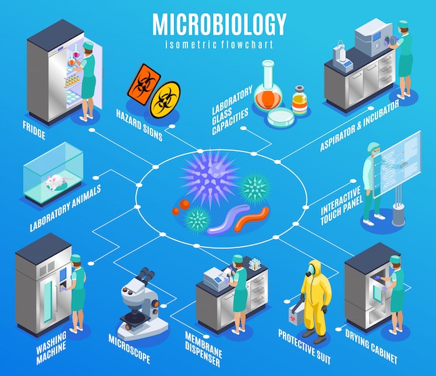 Gratis vector microbiologie isometrisch stroomschema met koelkast laboratorium dieren wasmachine microscoop membraan dispenser beschermend pak en andere beschrijvingen illustratie