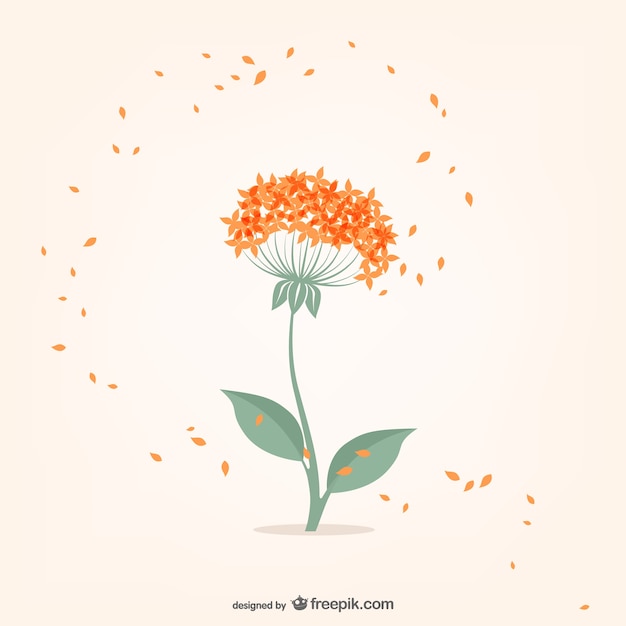 Gratis vector minimale bloem met oranje kleine bloemblaadjes