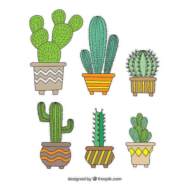 Gratis vector modern pak met hand getekende cactus