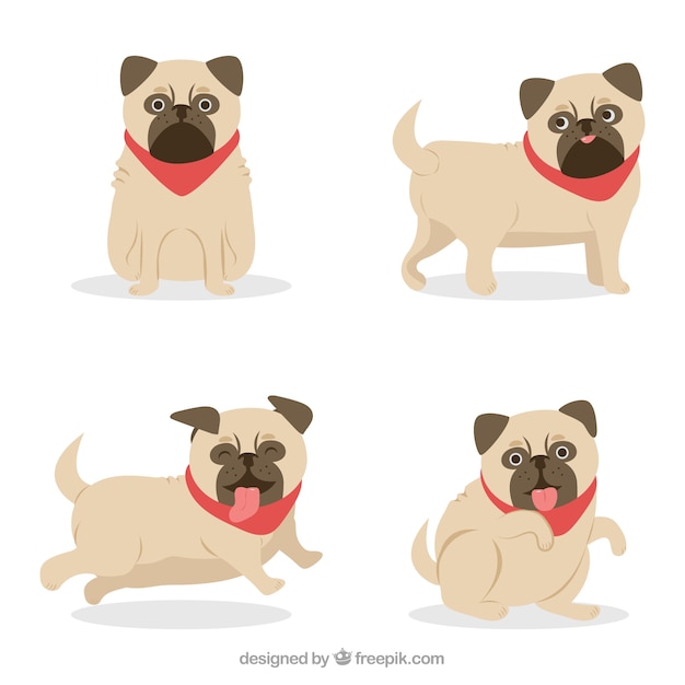 Gratis vector moderne pugs met vlak ontwerp