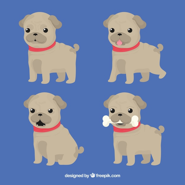 Gratis vector moderne set van mooie pugs