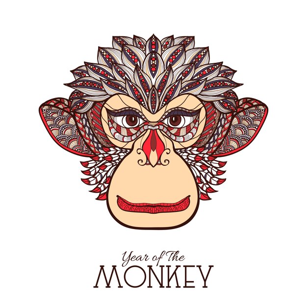 Monkey Color Face