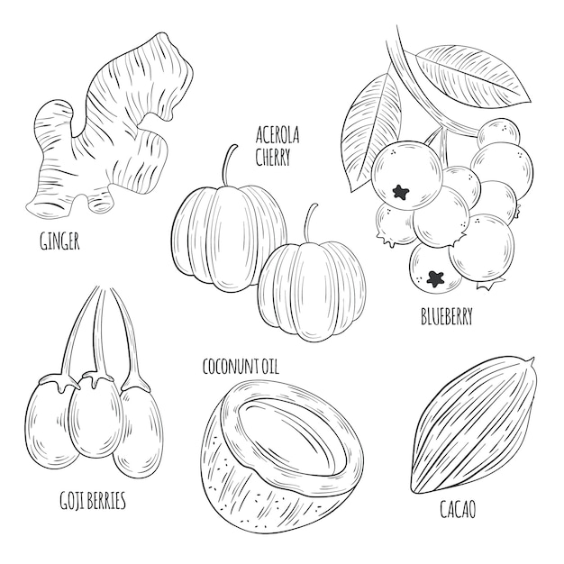 Gratis vector monochroom superfood collectie concept