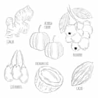 Gratis vector monochroom superfood collectie concept