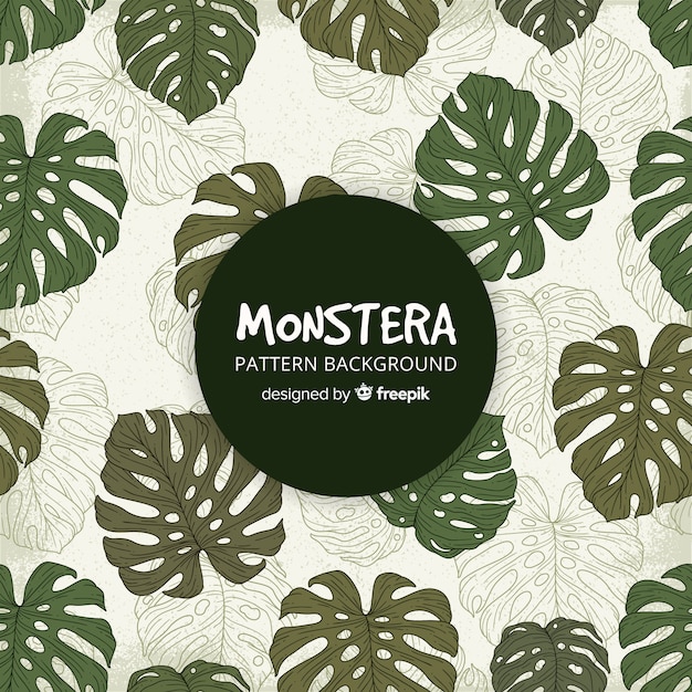 Gratis vector monstera verlaat de achtergrond