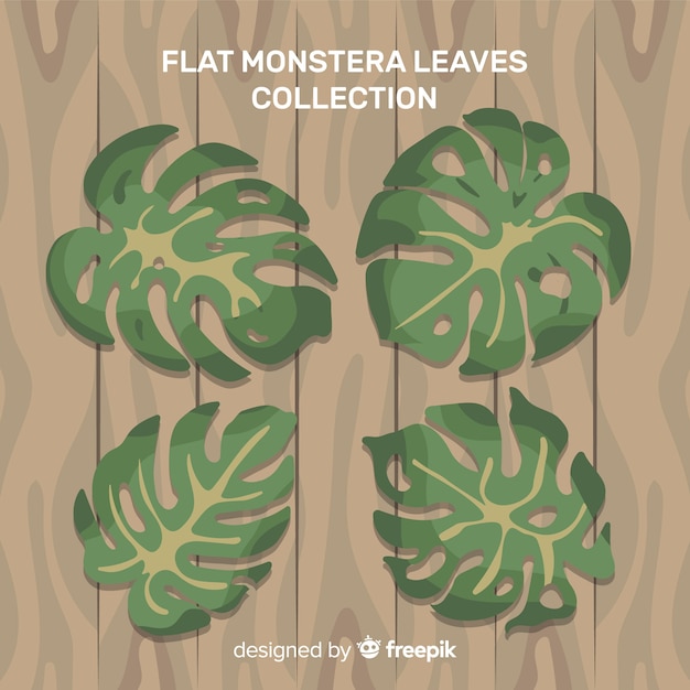 Monstera verlaat verzameling