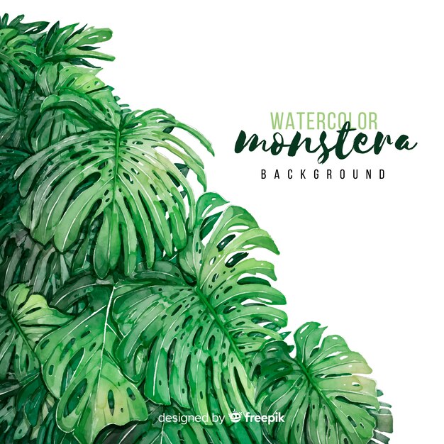 Monstera vertrekt