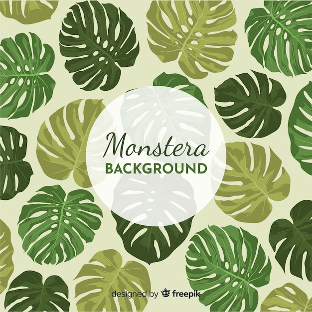 Monstera vertrekt