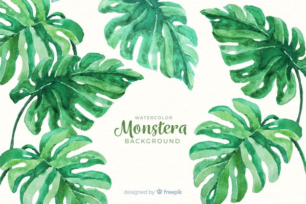 Monstera vertrekt