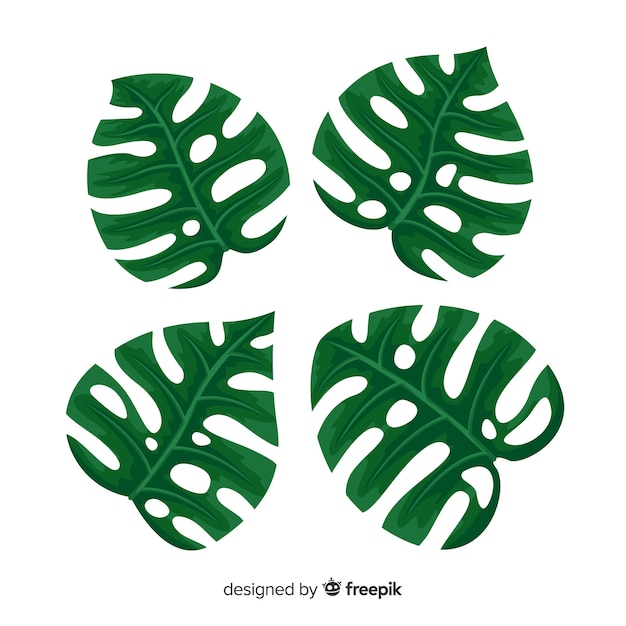 Gratis vector monstera vertrekt