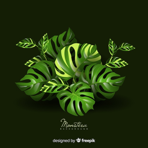 Monstera vertrekt