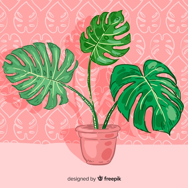 Gratis vector monstera vertrekt