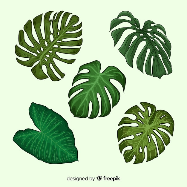 Monstera vertrekt