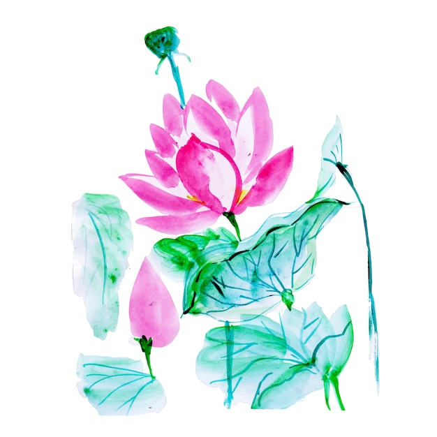 Gratis vector mooi aquarel bloemenelement