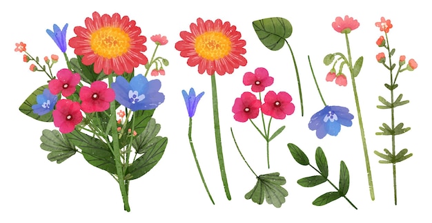 Mooi boeket bloemen en vertrek ter decoratie in aquarelstijl