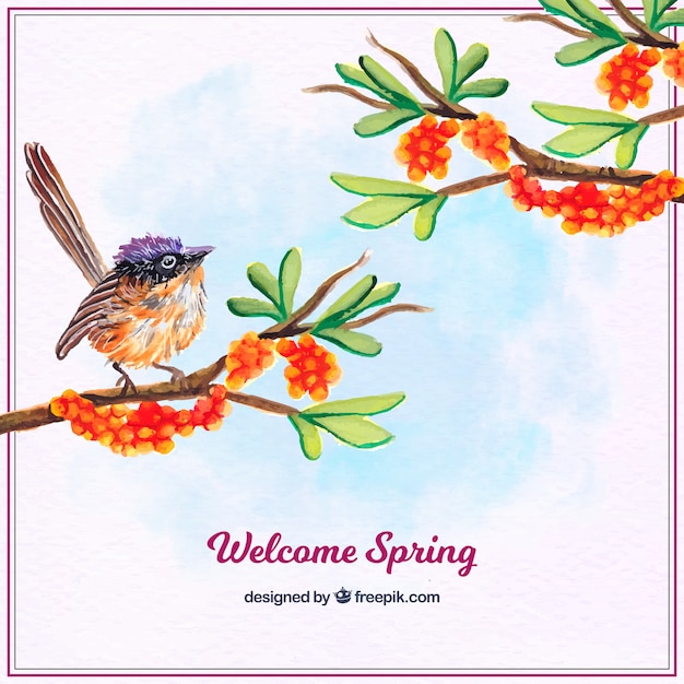 Gratis vector mooie achtergrond van de vogel en takken met aquarel bloemen