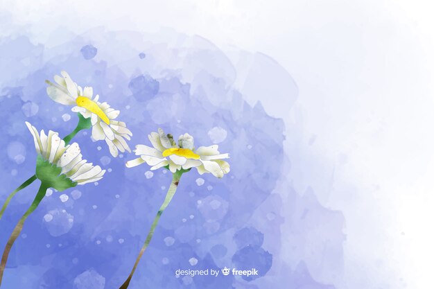 Mooie aquarel daisy bloem achtergrond