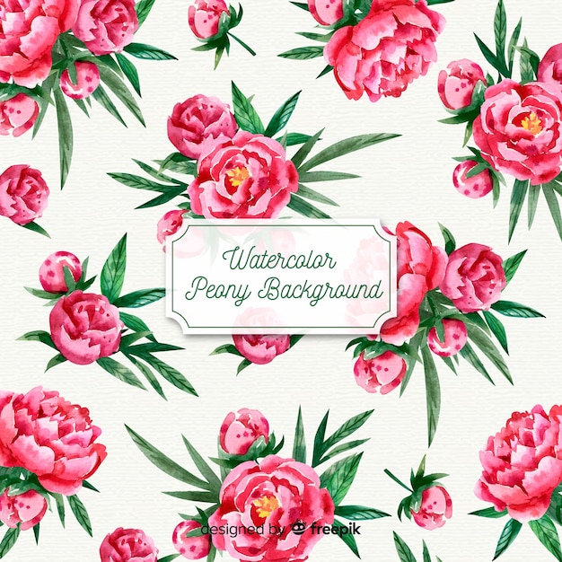 Gratis vector mooie aquarel pioen bloemen achtergrond