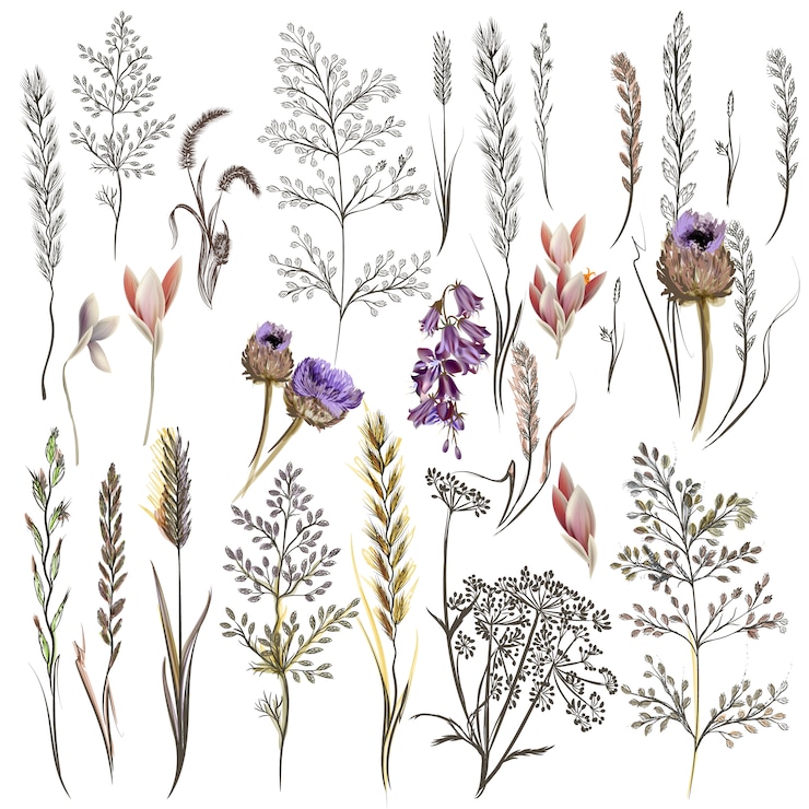 Gratis Vector mooie bloemen collectie