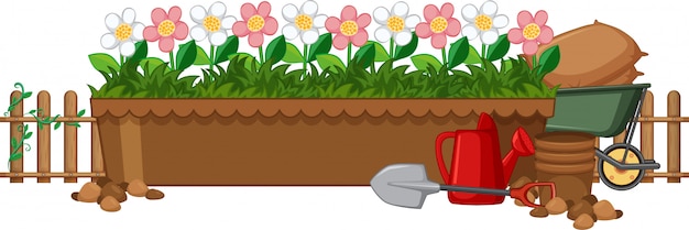 Gratis vector mooie bloemen in de tuin op een witte achtergrond