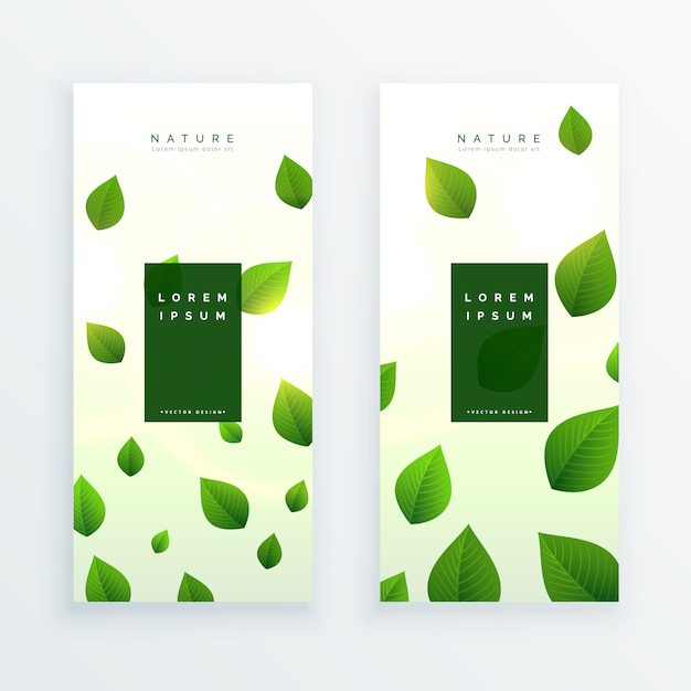 mooie groene bladeren verticale bannerkaart