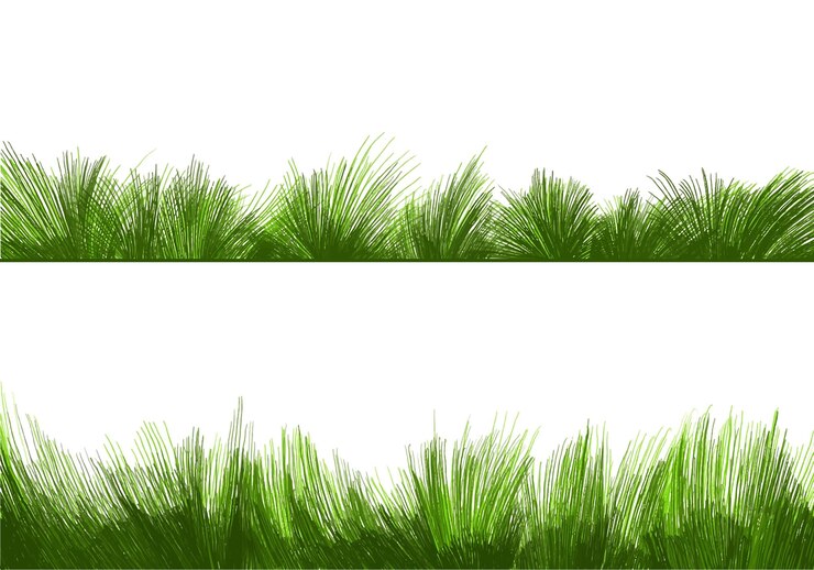 Gratis Vector mooie groene gras geïsoleerde achtergrond