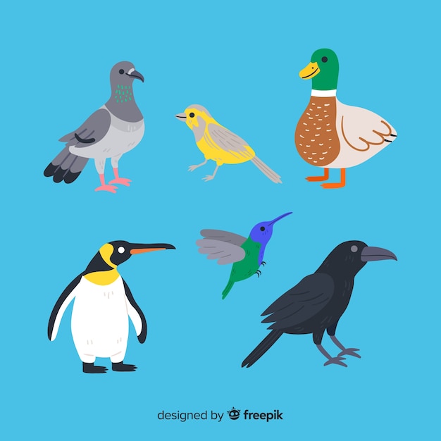 Gratis vector mooie hand getrokken vogelcollectie