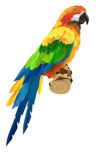 Gratis vector mooie kleurrijke papegaai op takje. vogel, fauna, dieren in het wild. tropen concept.