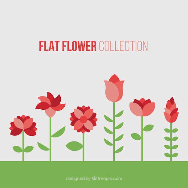 Gratis vector mooie rode bloemen in plat design