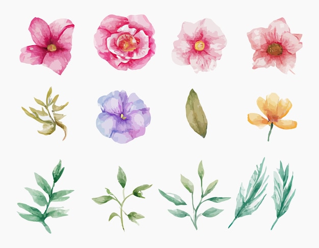 Gratis vector mooie set boeket van aquarel bloemen en bladeren. aquarel bloemenelementen