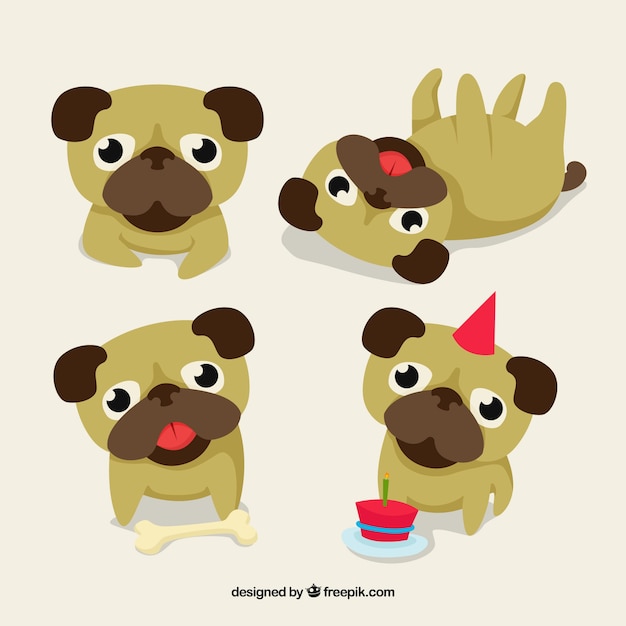 Gratis vector mooie set van originele pugs