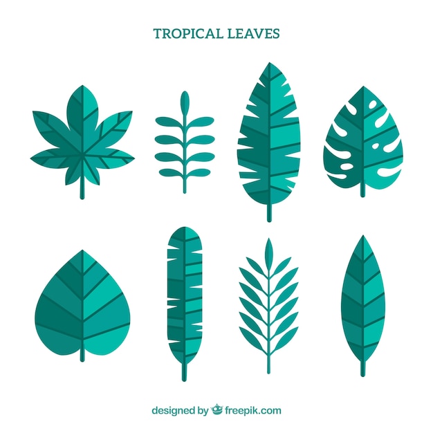 Gratis vector mooie tropische bladcollectie met plat ontwerp