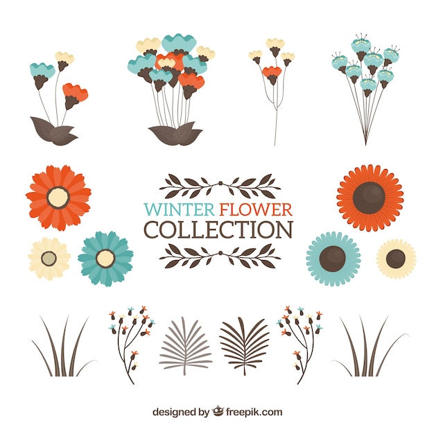 Gratis vector mooie winterbloemcollectie