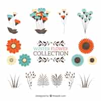 Gratis vector mooie winterbloemcollectie