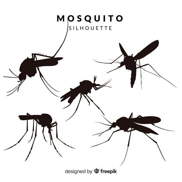 Mosquito silhouet collectie